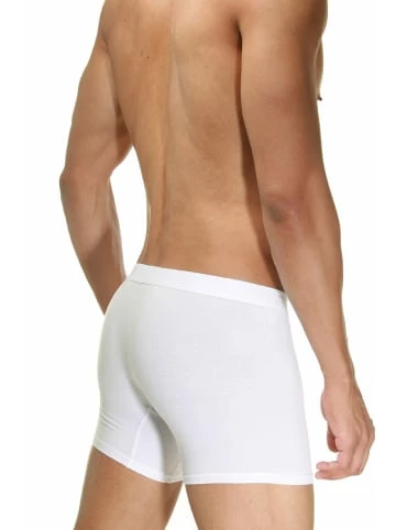 Auslauf 🌟 Wäsche Doreanse 3er Set Pants In Weiss Günstig Kaufen 🥰 5 Auslauf 🌟 Wäsche Doreanse 3er Set Pants In Weiss Günstig Kaufen 🥰 – Bild 3