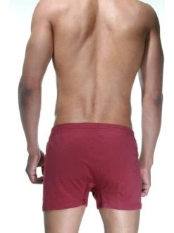 Budget ⭐ Wäsche Doreanse Pants In Bordeaux Günstig Kaufen 🎉 -Angebote doreanse Store doreanse pants in bordeaux 3