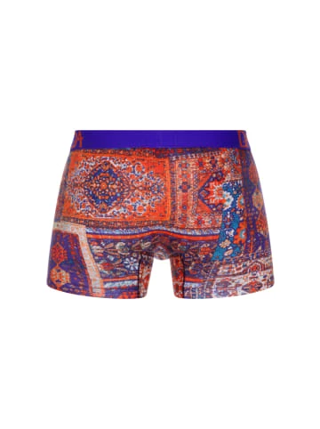 Top 10 ✔️ Wäsche Doreanse Pants In Bunt Günstig Kaufen 🧨 4 Top 10 ✔️ Wäsche Doreanse Pants In Bunt Günstig Kaufen 🧨 – Bild 2