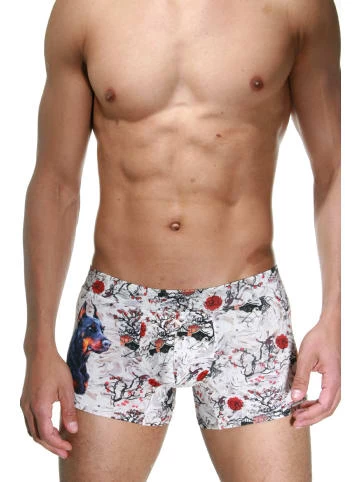 Beste Bewertungen von ⌛ Wäsche Doreanse Pants In Bunt Günstig Kaufen 💯 4 Beste Bewertungen von ⌛ Wäsche Doreanse Pants In Bunt Günstig Kaufen 💯 – Bild 2