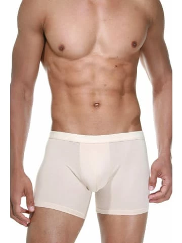 Schlussverkauf ✔️ Wäsche Doreanse Pants In Skin Günstig Kaufen 😀 4 Schlussverkauf ✔️ Wäsche Doreanse Pants In Skin Günstig Kaufen 😀 – Bild 2