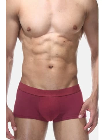 Großhandel 😉 Wäsche Doreanse Pants In Weinrot Günstig Kaufen 😉 6 Großhandel 😉 Wäsche Doreanse Pants In Weinrot Günstig Kaufen 😉 – Bild 4