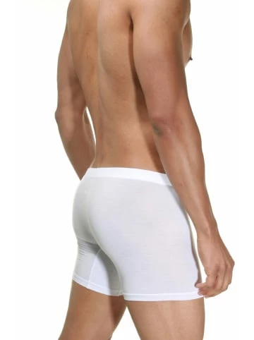 Aktion 💯 Wäsche Doreanse Pants In Weiss Günstig Kaufen ❤️ 4 Aktion 💯 Wäsche Doreanse Pants In Weiss Günstig Kaufen ❤️ – Bild 2