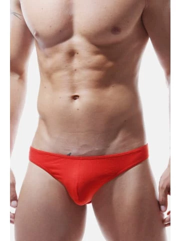 Bester Verkauf 🔥 Wäsche Doreanse Slip In Rot Günstig Kaufen 🔥 6 Bester Verkauf 🔥 Wäsche Doreanse Slip In Rot Günstig Kaufen 🔥 – Bild 4